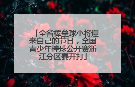 全省棒垒球小将迎来自己的节日，全国青少年棒球公开赛浙江分区赛开打