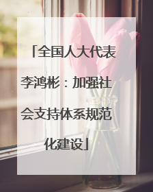 全国人大代表李鸿彬：加强社会支持体系规范化建设
