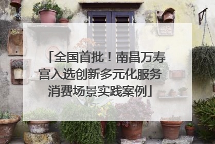 全国首批！南昌万寿宫入选创新多元化服务消费场景实践案例