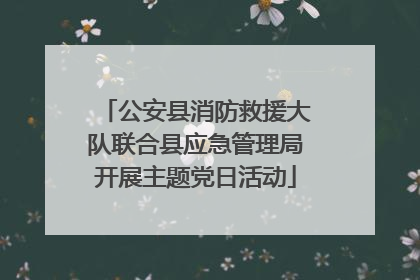 公安县消防救援大队联合县应急管理局开展主题党日活动
