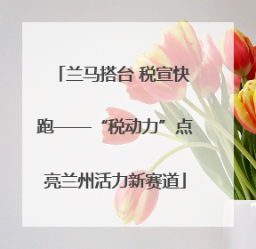 兰马搭台 税宣快跑——“税动力”点亮兰州活力新赛道