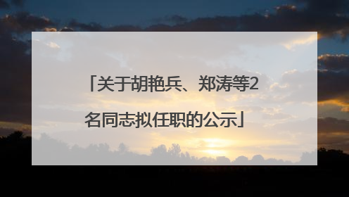 关于胡艳兵、郑涛等2名同志拟任职的公示