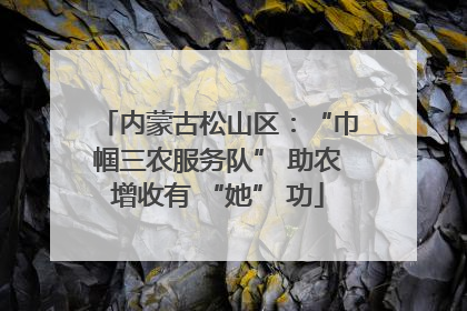 内蒙古松山区：“巾帼三农服务队” 助农增收有 “她” 功