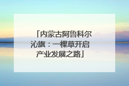 内蒙古阿鲁科尔沁旗：一棵草开启产业发展之路