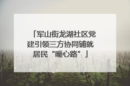军山街龙湖社区党建引领三方协同铺就居民“暖心路”