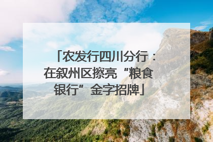 农发行四川分行：在叙州区擦亮“粮食银行”金字招牌