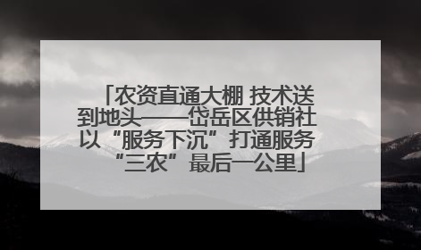 农资直通大棚 技术送到地头——岱岳区供销社以“服务下沉”打通服务“三农”最后一公里