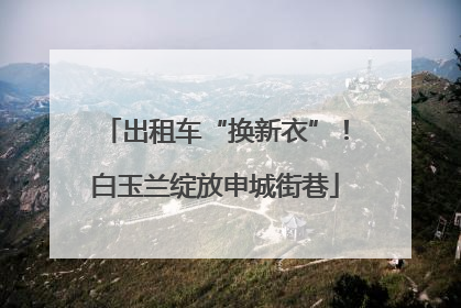 出租车“换新衣”！白玉兰绽放申城街巷