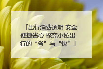 出行消费透明 安全便捷省心 探究小拉出行的“省”与“快”
