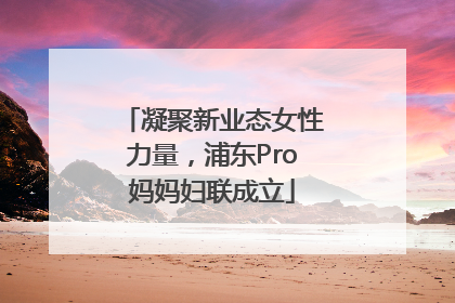 凝聚新业态女性力量，浦东Pro妈妈妇联成立