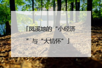 凤溪地的“小经济”与“大情怀”