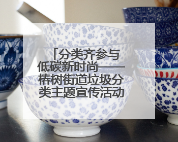 分类齐参与 低碳新时尚——椿树街道垃圾分类主题宣传活动成功举办