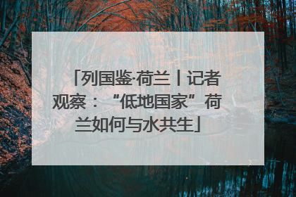 列国鉴·荷兰丨记者观察：“低地国家”荷兰如何与水共生
