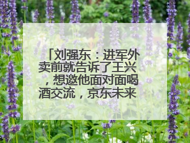 刘强东：进军外卖前就告诉了王兴，想邀他面对面喝酒交流，京东未来会打造一种与美团不同的商业模式