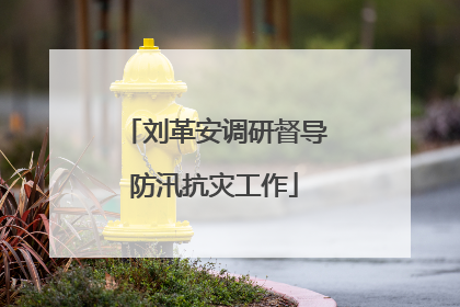 刘革安调研督导防汛抗灾工作