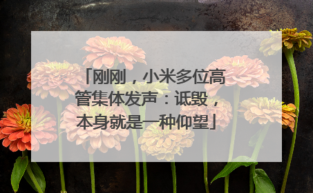 刚刚，小米多位高管集体发声：诋毁，本身就是一种仰望