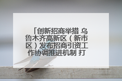 创新招商举措 乌鲁木齐高新区（新市区）发布招商引资工作协调推进机制 打造投资发展新高地