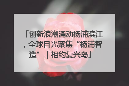创新浪潮涌动杨浦滨江，全球目光聚焦“杨浦智造”｜相约复兴岛