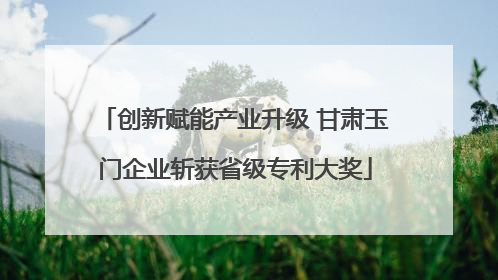 创新赋能产业升级 甘肃玉门企业斩获省级专利大奖