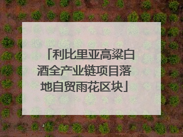 利比里亚高粱白酒全产业链项目落地自贸雨花区块