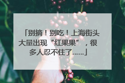 别摘！别吃！上海街头大量出现“红果果”，很多人忍不住了……