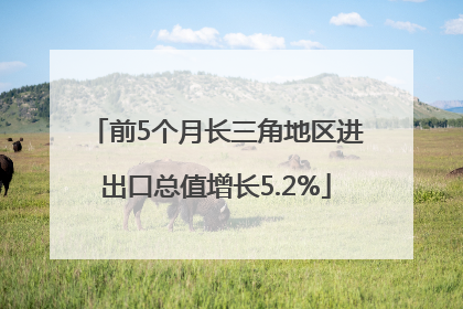前5个月长三角地区进出口总值增长5.2%