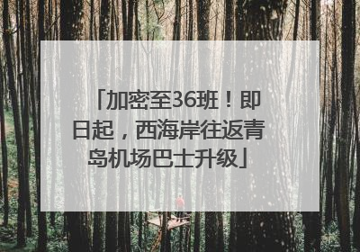 加密至36班！即日起，西海岸往返青岛机场巴士升级