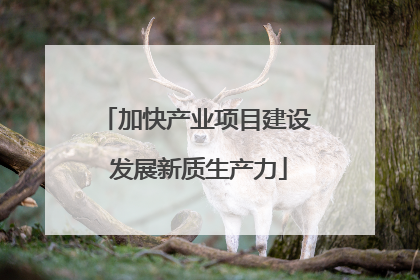 加快产业项目建设 发展新质生产力
