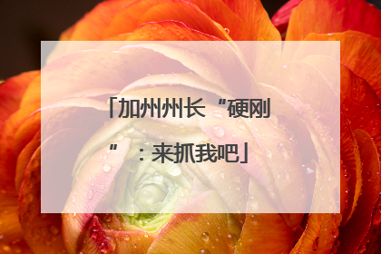 加州州长“硬刚”：来抓我吧
