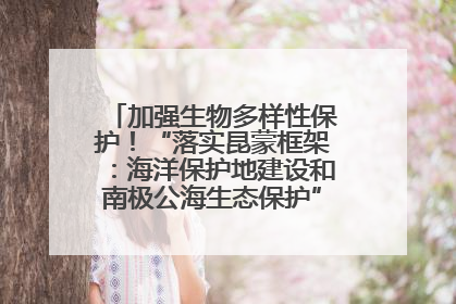 加强生物多样性保护！“落实昆蒙框架：海洋保护地建设和南极公海生态保护”主题论坛将举办