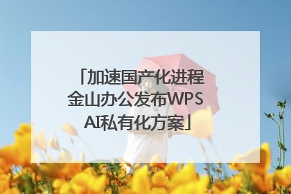 加速国产化进程 金山办公发布WPS AI私有化方案