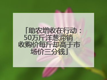 助农增收在行动：50万斤洋葱滞销 收购价每斤却高于市场价三分钱