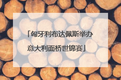 匈牙利布达佩斯举办意大利面桥世锦赛