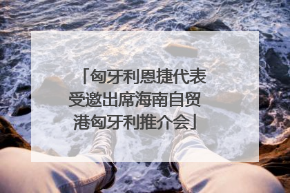 匈牙利恩捷代表受邀出席海南自贸港匈牙利推介会