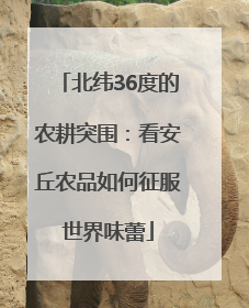 北纬36度的农耕突围：看安丘农品如何征服世界味蕾