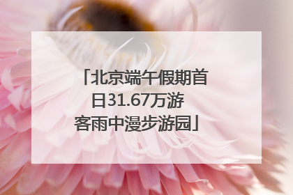 北京端午假期首日31.67万游客雨中漫步游园