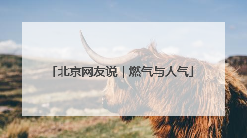 北京网友说｜燃气与人气