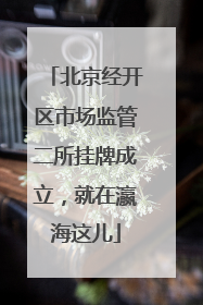 北京经开区市场监管二所挂牌成立，就在瀛海这儿