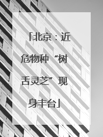 北京：近危物种“树舌灵芝”现身丰台