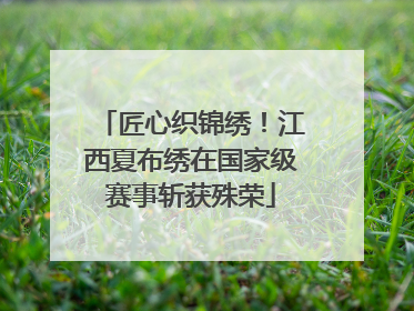匠心织锦绣！江西夏布绣在国家级赛事斩获殊荣