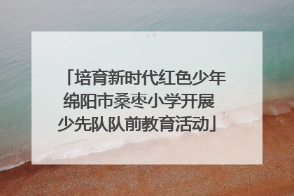 培育新时代红色少年 绵阳市桑枣小学开展少先队队前教育活动