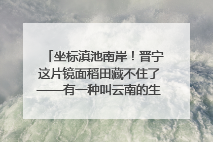 坐标滇池南岸！晋宁这片镜面稻田藏不住了——有一种叫云南的生活之365天