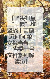 坚决打赢“三夏”攻坚战丨麦穗沉甸甸 粮安稳当当——省委一号文件系列解读①