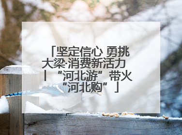 坚定信心 勇挑大梁·消费新活力丨“河北游”带火“河北购”