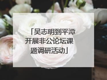 吴志明到平潭开展非公论坛课题调研活动