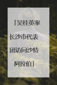 吴桂英率长沙市代表团访问沙特阿拉伯