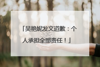 吴艳妮发文道歉：个人承担全部责任！