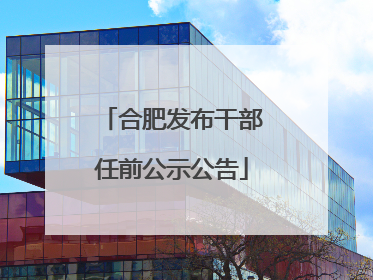 合肥发布干部任前公示公告