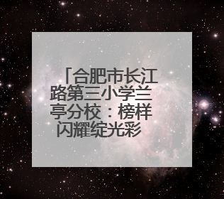 合肥市长江路第三小学兰亭分校：榜样闪耀绽光彩 五育融合助成长