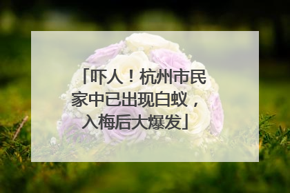 吓人！杭州市民家中已出现白蚁，入梅后大爆发